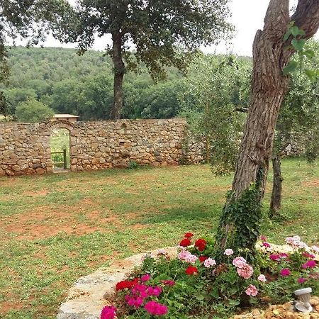 La Tenuta Di Castelvecchio Сан Джиминяно Екстериор снимка