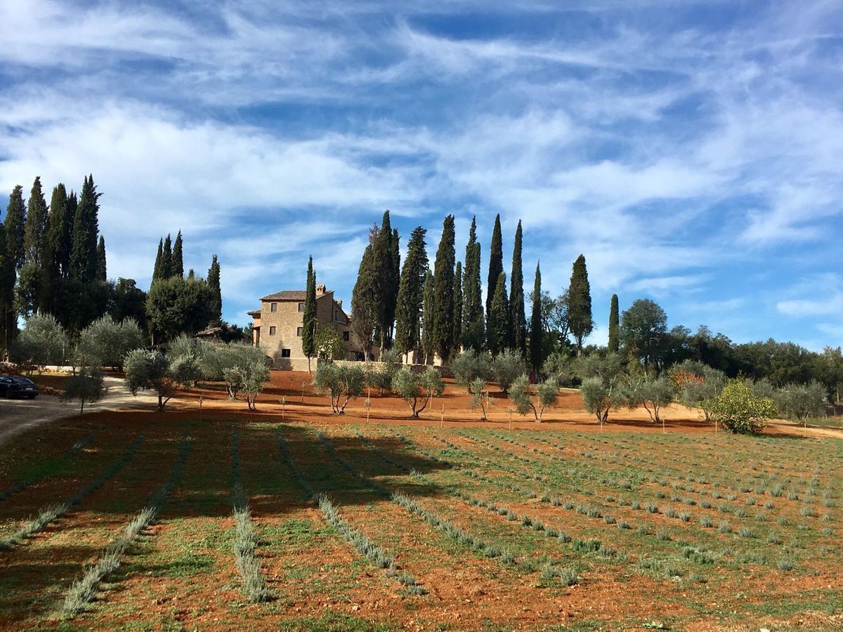 La Tenuta Di Castelvecchio Сан Джиминяно Екстериор снимка