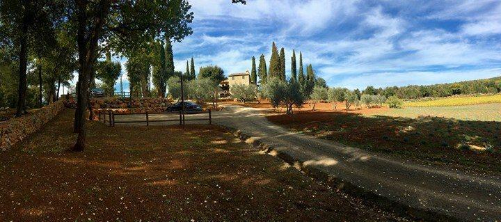 La Tenuta Di Castelvecchio Сан Джиминяно Екстериор снимка